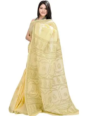 Impala-Colored Lukhnavi Chikan Hand-Embroidered Sari