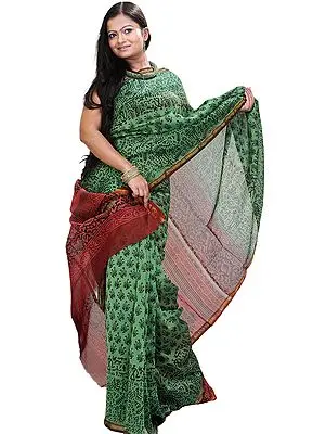 Green-Briar Chanderi Sari with Kalamkari Printed Motifs