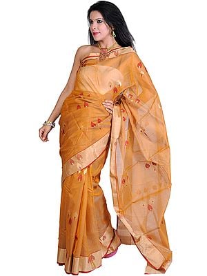 Nugget-Colored Handloom Chanderi Sari With Woven Paan and Golden Border