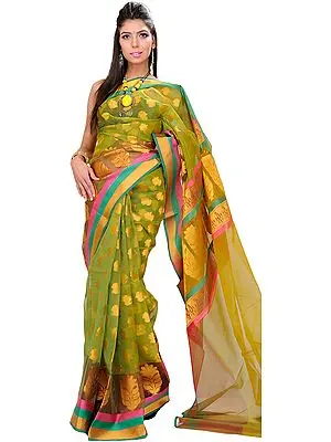 Herbal-Garden Banarasi Saree with Woven Bootis and Tri-Colored Border