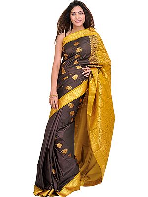 Coffee-Bean and Golden Sari from Bangalore with Woven Paisleys and Brocaded Aanchal
