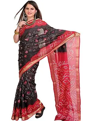 Jet-Black and Red Bandhani Tie-Dye Marwari Sari from Jodhpur with Brocaded Border