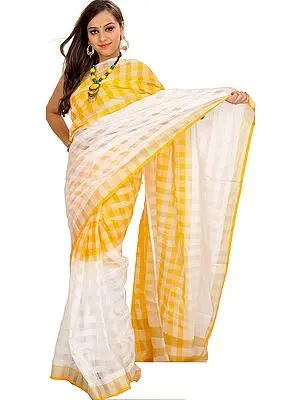 Double-Shaded Upada Sari from Andhra Pradesh with Woven Checks