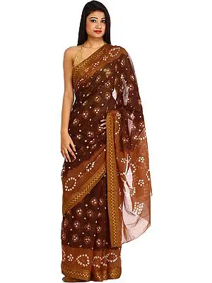 Brown and Chocolate Bandhani Tie-Dye Sari from Rajasthan with Woven Border
