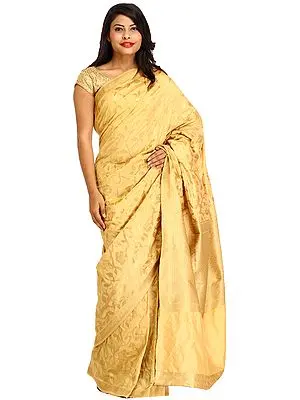Golden Sari from Banaras with Zari-Woven Leaves and Brocaded Aanchal