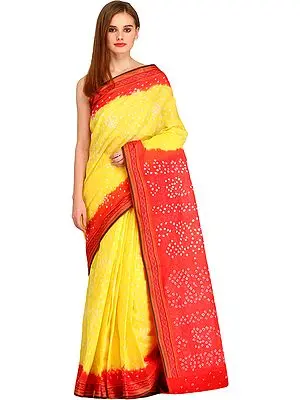 Lemon and Red Bandhani Tie-Dye Sari from Jodhpur with Woven Border