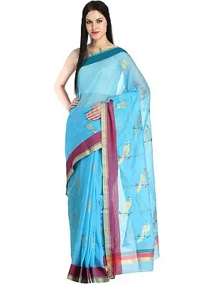 Aquarius-Blue Handloom Chanderi Saree with Golden Woven Peacocks