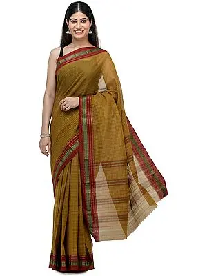 Golden-Palm Venkatagiri Cotton Sari from Chennai with Zari-Woven Border and Woven Checks