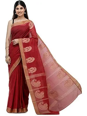 Garnet-Red South-Cotton Handloom Sari from Chennai with Woven Border and Pallu