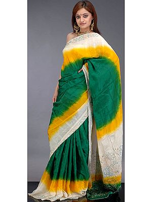 Tr-Color Shaded Sari with Threadwork