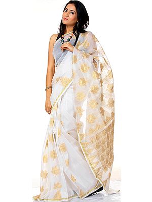 White Banarasi Sari with Golden Leaves Woven All-Over