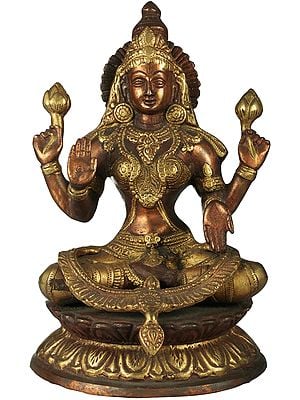 9" Four-Armed Lakshmi Brass Statue in Abhaya-Mudra | Handmade Hindu Goddess Figurine