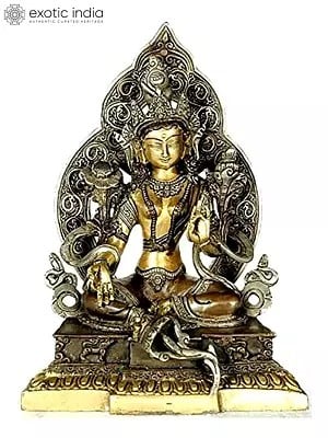 9" Goddess Green Tara Brass Statue | Tibetan Buddhist Deity Idol