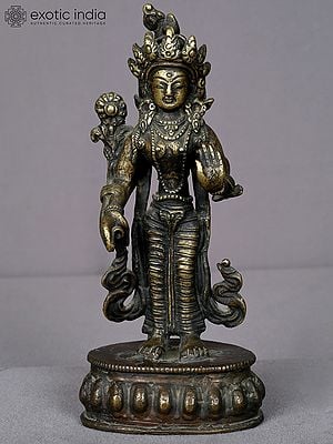 8" Brass Standing Goddess Tara Statue from Nepal