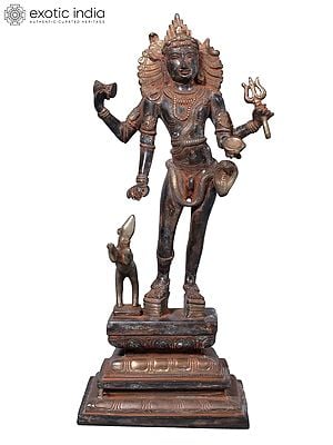 14" Bhairava Shiva in Brass