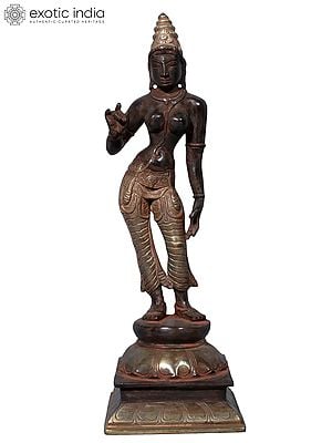 12" Standing Goddess Parvati in Brass