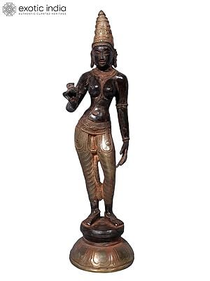 18" Brass Standing Devi Parvati