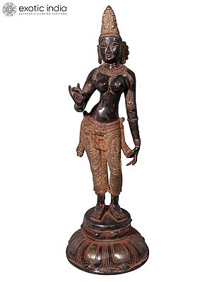 18" Brass Standing Devi Parvati