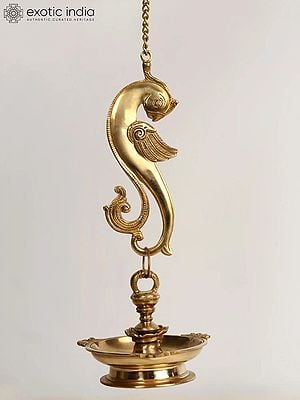 35" Three Wicks Hanging Parrot Lamp in Brass