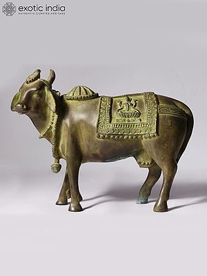 11" Kamadhenu Cow Statue in Brass