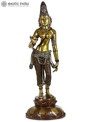 21" Goddess Devi Uma Shivakamasundari (Devi Parvati)