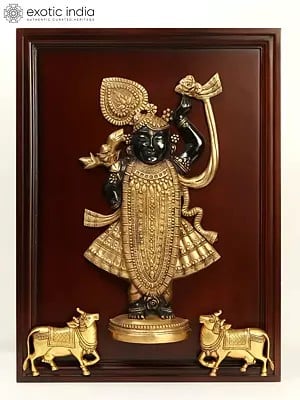 24" Brass Shrinath Ji In Wooden Frame | Wall Hanging