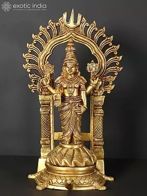 17" Standing Tirupati Balaji Brass Statue (Venkateswara) on Tortoise