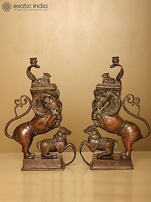 15" Pair of Nandi on Yali Stand | Brass Statue