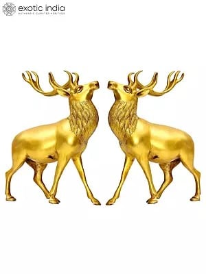 9" Antelope Pair In Brass | Handmade | Made In India