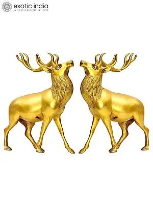 9" Antelope Pair In Brass | Handmade | Made In India