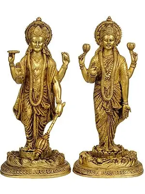 Lord Vishnu and Lakshmi Ji