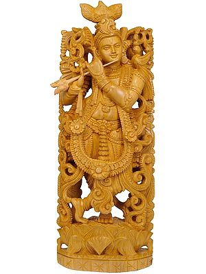 Lord Krishna - The Supreme God