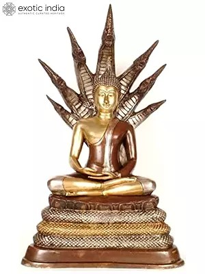 21" Buddha Under Serpent Muchalinda