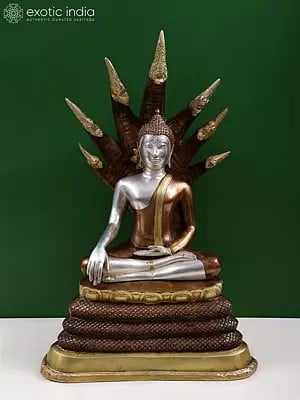 21" Buddha Under Serpent Muchalinda