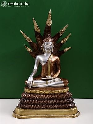 21" Buddha Under Serpent Muchalinda