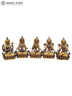 8" Tibetan Buddhist Deities Chenrezig, Amitabha, Vajrasattva, White Tara and Green Tara (Set of 5 Sculptures) In Brass | Handmade | Made In India