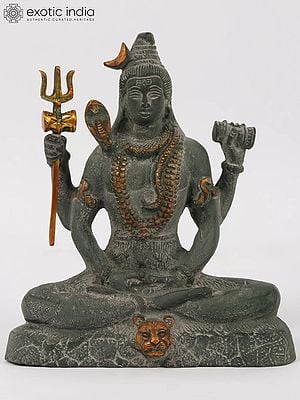 Lord Shiva in Dhyana