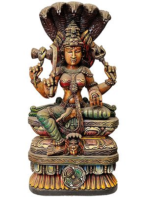 South Indian Goddess Durga