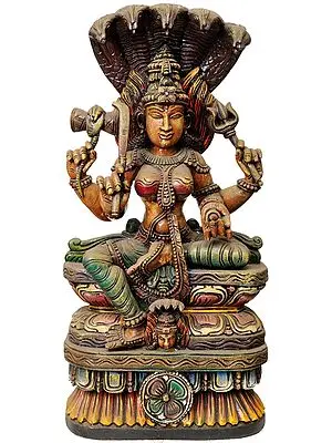 South Indian Goddess Durga