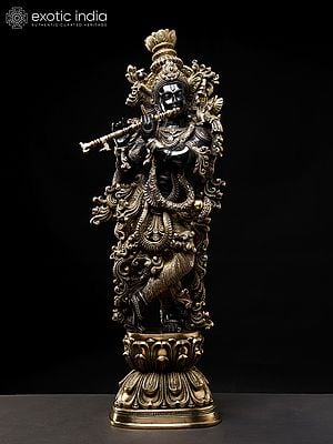 Charming Lord Krishna Brass Idols