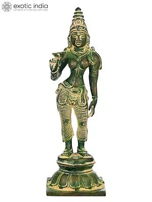 7" Standing Parvati Shivakamasundari, A Lotus In Her Hand, Her Crown Towering Atop Her Head In Brass | Handmade | Made In India