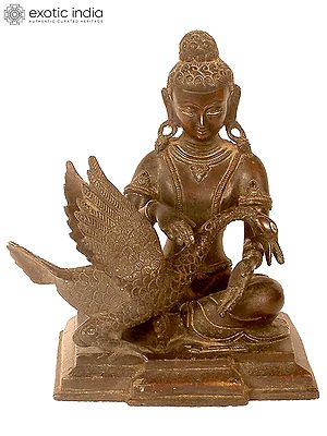 9" Tibetan Buddhist Deity Siddhartha Nursing the Wounded Swan (Kindness Personified) in Brass | Handmade | Made In India