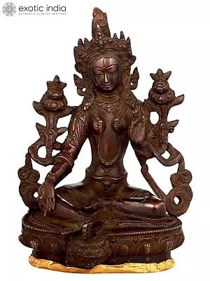 8" Tibetan Buddhist Deity Green Tara Brass Statue