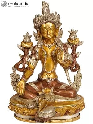 8" Tibetan Buddhist Deity Green Tara Brass Statue