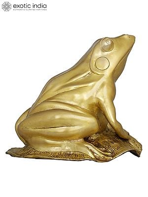 8" Feng Shui Frog In Brass | Handmade | Made In India