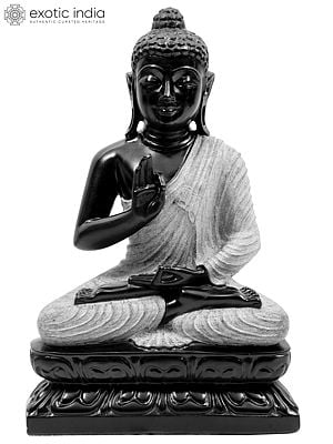 15" Bitone Dharmachakra Buddha In A Textured, White Robe | Handcrafted In Black Marble
