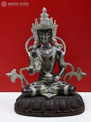 Brass Buddha Sculpture (12") - Seated in Dharma Gesture on Wooden Base