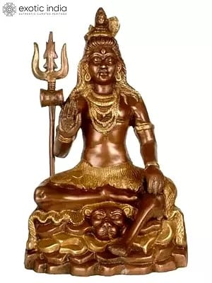14" Lord Shiva Brass Sculpture | Handmade | Made in India