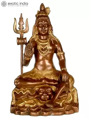 14" Lord Shiva Brass Sculpture | Handmade | Made in India