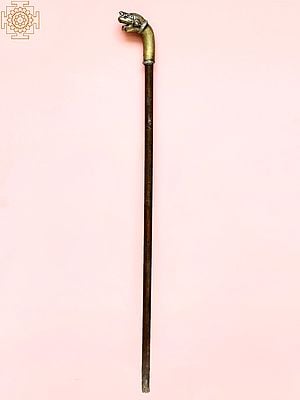 Brass with Copper Cane with Lion Handle